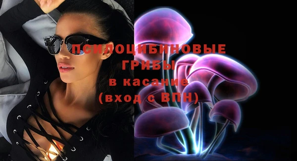 гашик Верхний Тагил