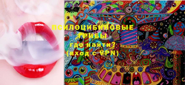 гашик Верхний Тагил