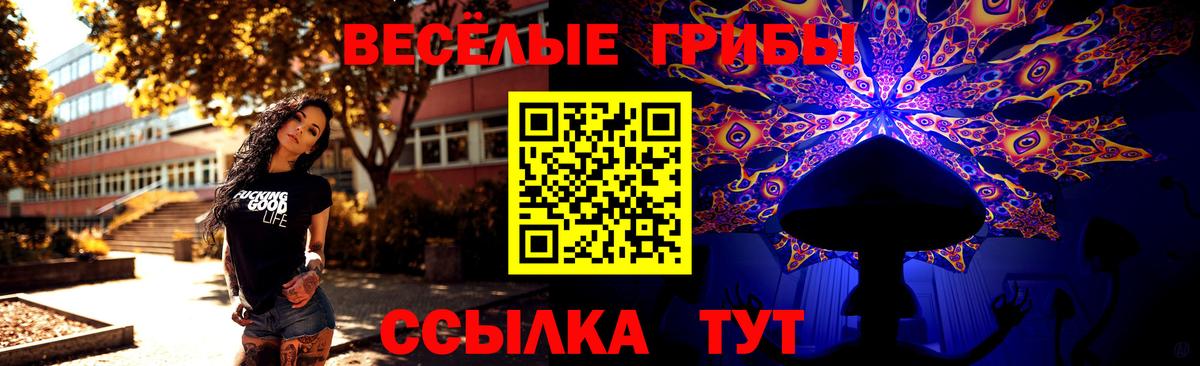 Галлюциногенные грибы Cubensis Выборг