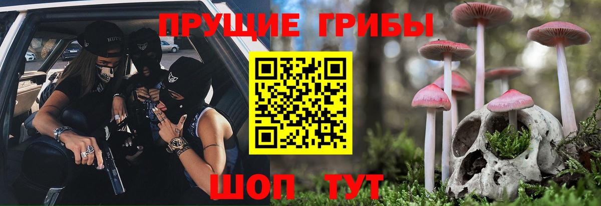 Выборг  Галлюциногенные грибы Psilocybine cubensis  Вход с VPN  Псилоцибиновые грибы Magic Shrooms 